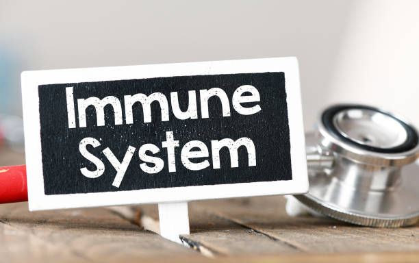 Wellness Reset for Your Immune System